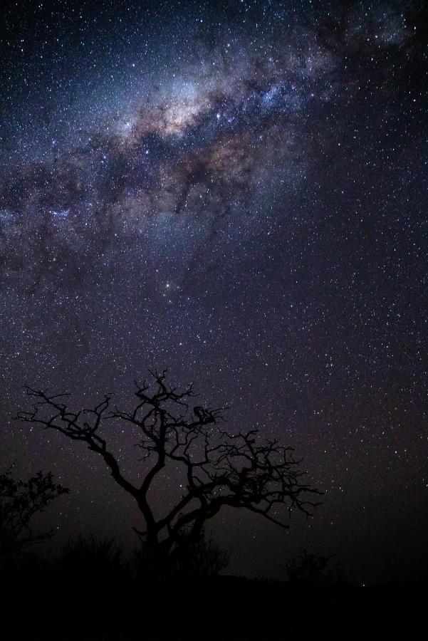 Nedile Lodge Welgevonden Game Reserve ภายนอก รูปภาพ