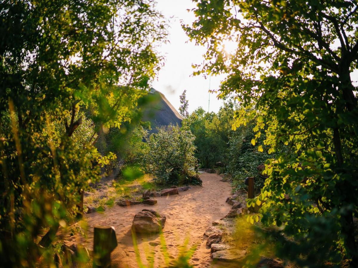 Nedile Lodge Welgevonden Game Reserve ภายนอก รูปภาพ